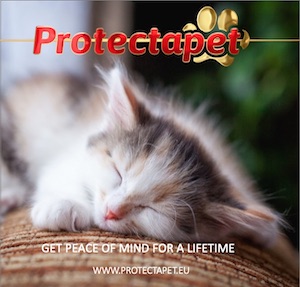 Sleeping cat advertising Fixed Lifetime Premiums on Protectapet Healthcare Plans for cats